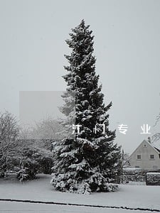 江门专业婚姻律师收费 江门专业婚姻律师收费