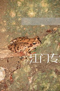 江门专业律师咨询免费 江门专业律师咨询免费