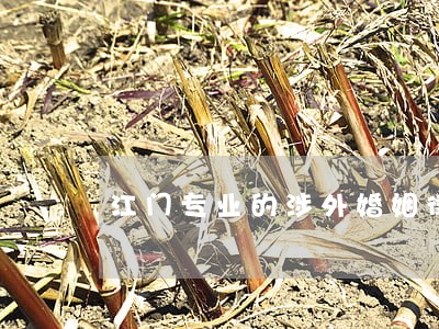 江门专业的涉外婚姻律师 江门专业的涉外婚姻律师