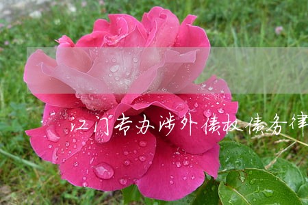 江门专办涉外债权债务律师 江门专办涉外债权债务律师