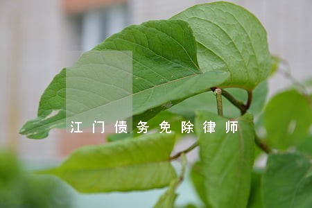江门债务免除律师 江门债务免除律师