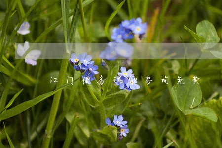 江门债务律师咨询免费 江门债务律师咨询免费