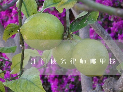 江门债务律师哪里找