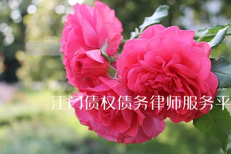 江门债权债务律师服务平台 江门债权债务律师服务平台