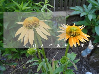 江门关押保释律师电话咨询