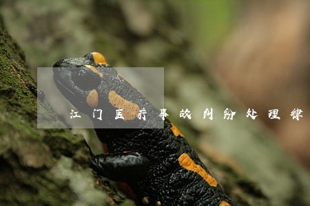 江门医疗事故纠纷处理律师 江门医疗事故纠纷处理律师