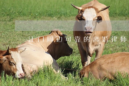 江门周边可靠的离婚律师 江门周边可靠的离婚律师