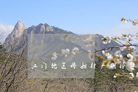 江门地区婚姻财产纠纷律师价格 江门地区婚姻财产纠纷律师价格