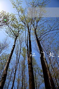 江门处理房屋买卖法律问题律师 江门处理房屋买卖法律问题律师