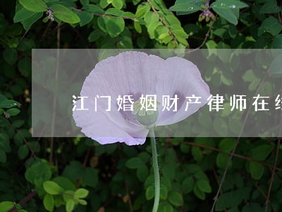 江门婚姻财产律师在线 江门婚姻财产律师在线