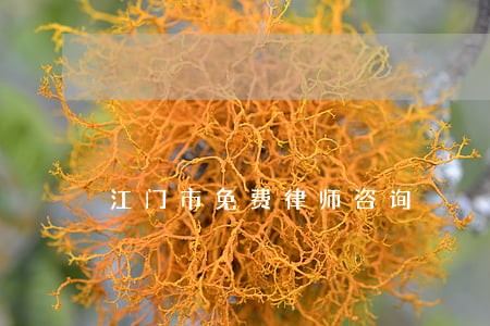 江门市免费律师咨询 江门市免费律师咨询