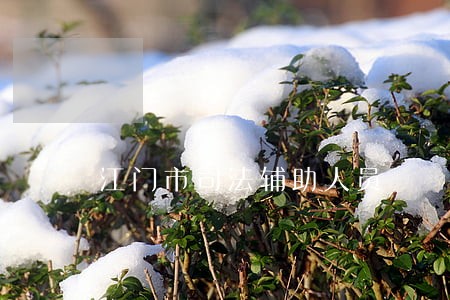江门市司法辅助人员