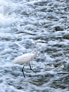 江门市承包合同律师咨询电话 江门市承包合同律师咨询电话