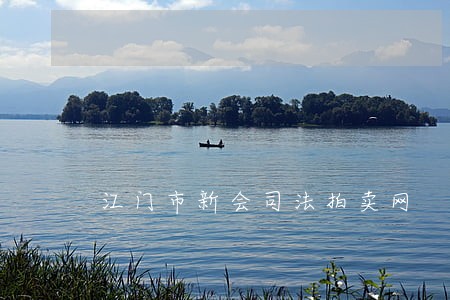 江门市新会司法拍卖网 江门市新会司法拍卖网