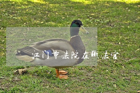 江门市法院在职法官 江门市法院在职法官