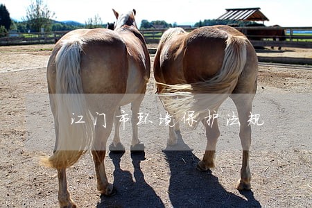 江门市环境保护法规 江门市环境保护法规