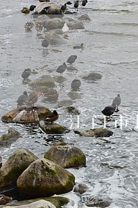 江门市聘请刑事诉讼律师在线咨询 江门市聘请刑事诉讼律师在线咨询
