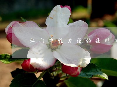 江门市能力强的保释律师推荐 江门市能力强的保释律师推荐
