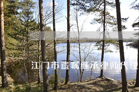 江门市遗嘱继承律师代理费 江门市遗嘱继承律师代理费