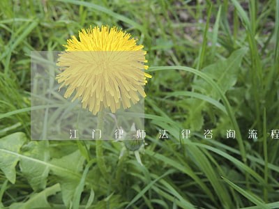 江门律师法律咨询流程 江门律师法律咨询流程