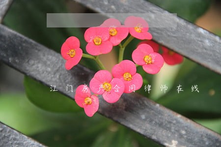江门房产合同律师在线 江门房产合同律师在线