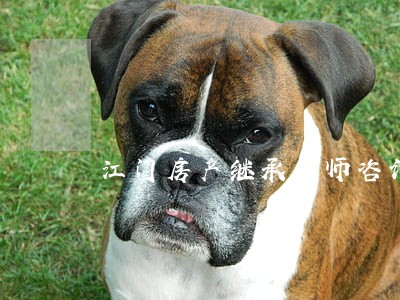 江门房产继承律师咨询电话 江门房产继承律师咨询电话