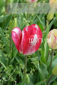 江门拆迁律师在线咨询 江门拆迁律师在线咨询