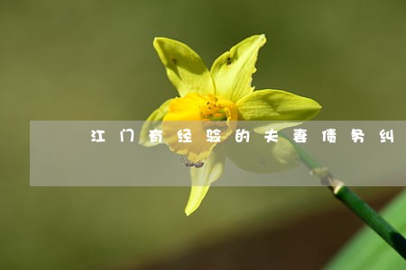 江门有经验的夫妻债务纠纷律师 江门有经验的夫妻债务纠纷律师