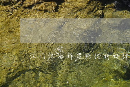 江门江海辞退赔偿纠纷律师哪里找