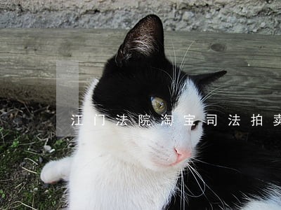 江门法院淘宝司法拍卖