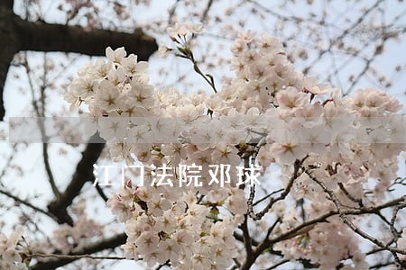 江门法院邓球 江门法院邓球