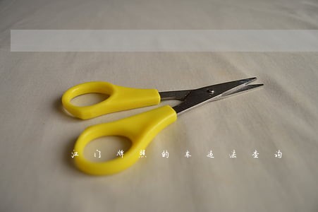 江门牌照的车违法查询