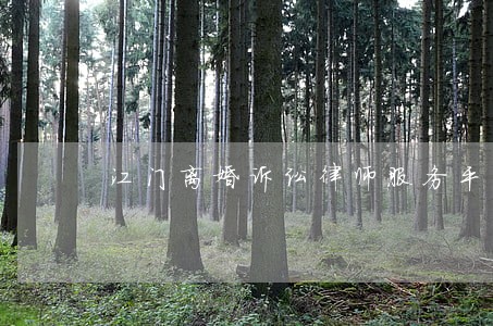 江门离婚诉讼律师服务平台 江门离婚诉讼律师服务平台