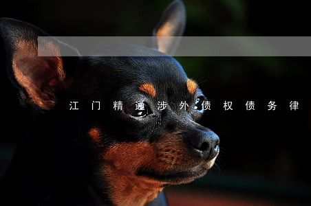 江门精通涉外债权债务律师团队 江门精通涉外债权债务律师团队