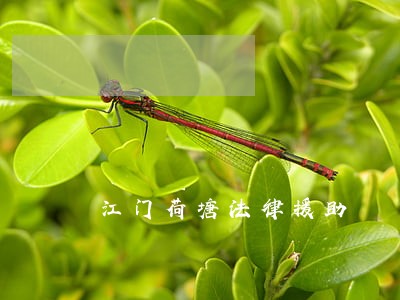 江门荷塘法律援助