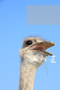 江阳区建筑房产律师介绍 江阳区建筑房产律师介绍