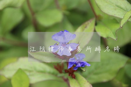 江阴律师事务所排名榜 江阴律师事务所排名榜