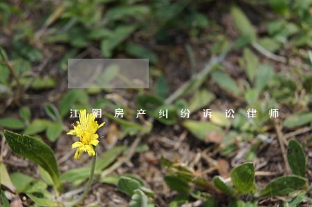 江阴房产纠纷诉讼律师 江阴房产纠纷诉讼律师