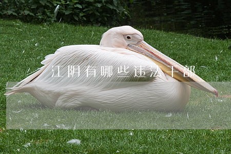江阴有哪些违法干部 江阴有哪些违法干部