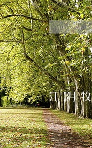 江阴牧野公司法人代表是谁 江阴牧野公司法人代表是谁
