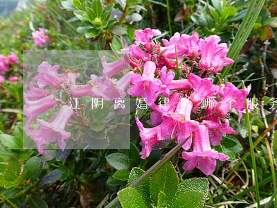 江阴离婚律师哪个服务好 江阴离婚律师哪个服务好
