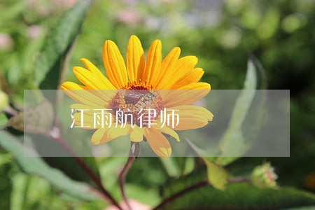 江雨航律师 江雨航律师