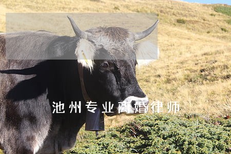 池州专业离婚律师 池州专业离婚律师