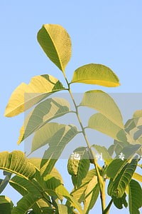 池州专业离婚律师网站 池州专业离婚律师网站