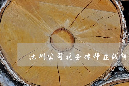 池州公司税务律师在线解答 池州公司税务律师在线解答
