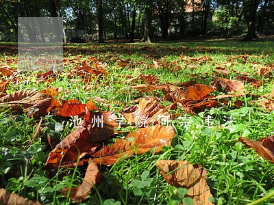 池州学院何宗违法