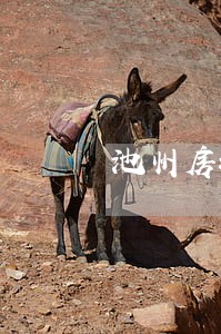 池州房地产律师事务所 池州房地产律师事务所