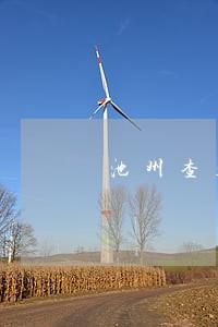 池州查处两名违法行为人