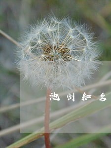 池州知名感情纠纷律师 池州知名感情纠纷律师