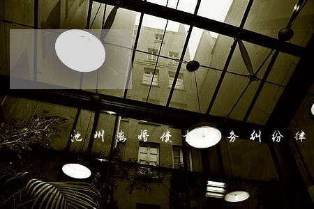 池州离婚债权债务纠纷律师 池州离婚债权债务纠纷律师